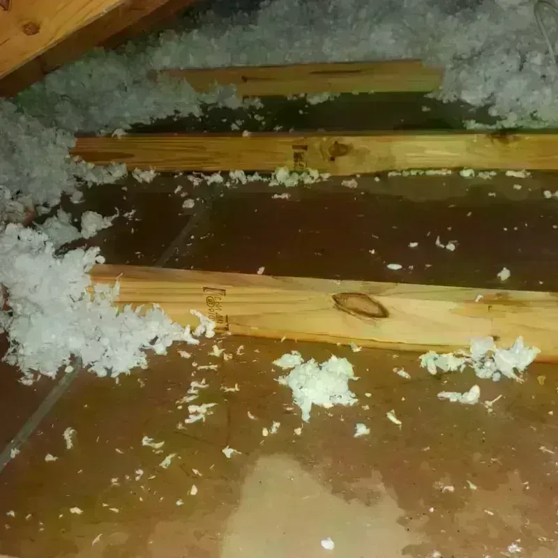 Attic Water Damage in Villa Rica, GA